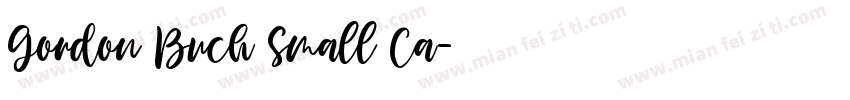 Gordon Buch Small Ca字体转换